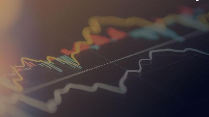 Kursverlauf eines Private-Equity-Fonds