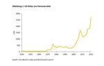 Kommt die Renaissance des Goldes als Geld? - 