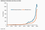 Argentinien: Die Reformagenda von Javier Milei aus theoretischer und politischer Sicht - 