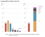 G20+, BRICS+ und China - Globale ökonomische und politische Minenfelder - 